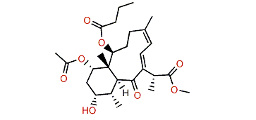 Briareolate ester L